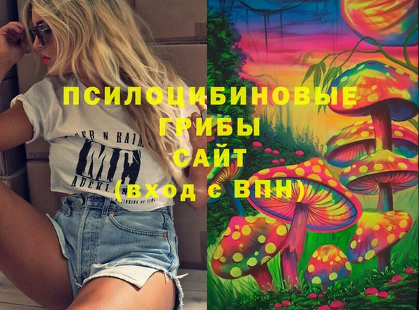 молекула духа Баксан