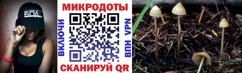 Галлюциногенные грибы мицелий Голицыно